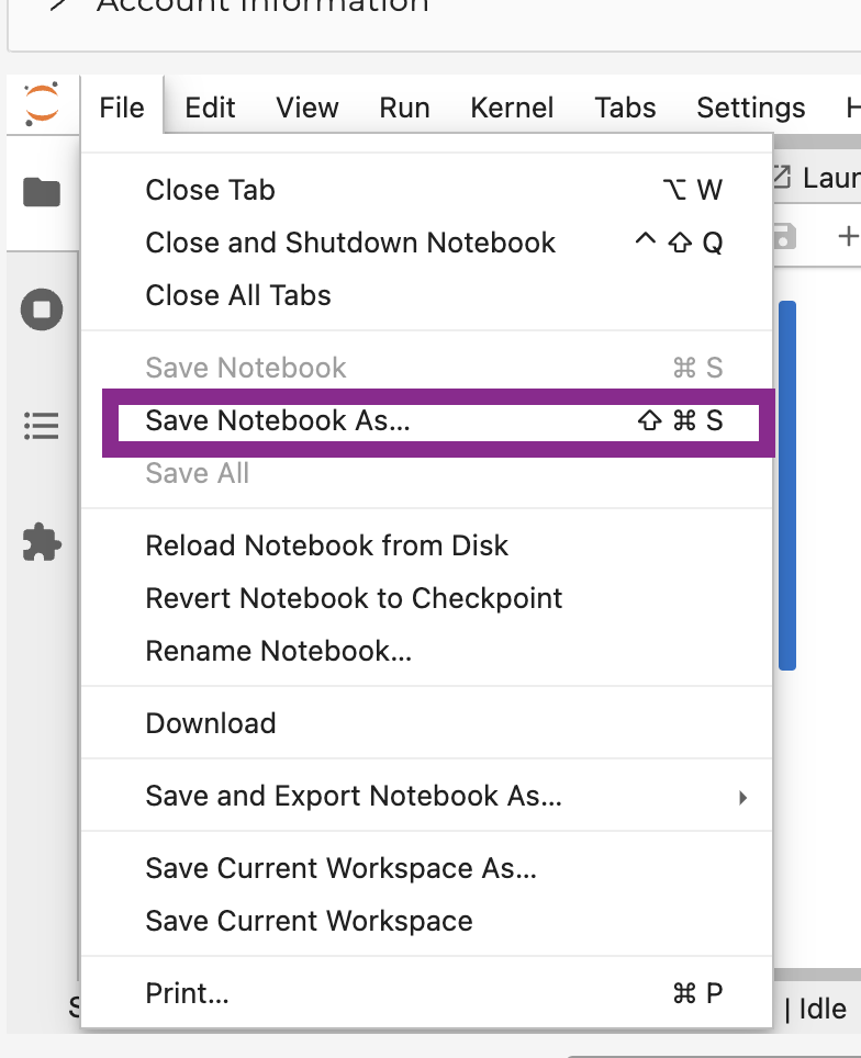 Save the notebook under “File” - "Save Notebook as"