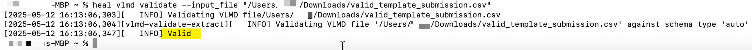 Screenshot of terminal showing successful VLMD validation with the VLMD took