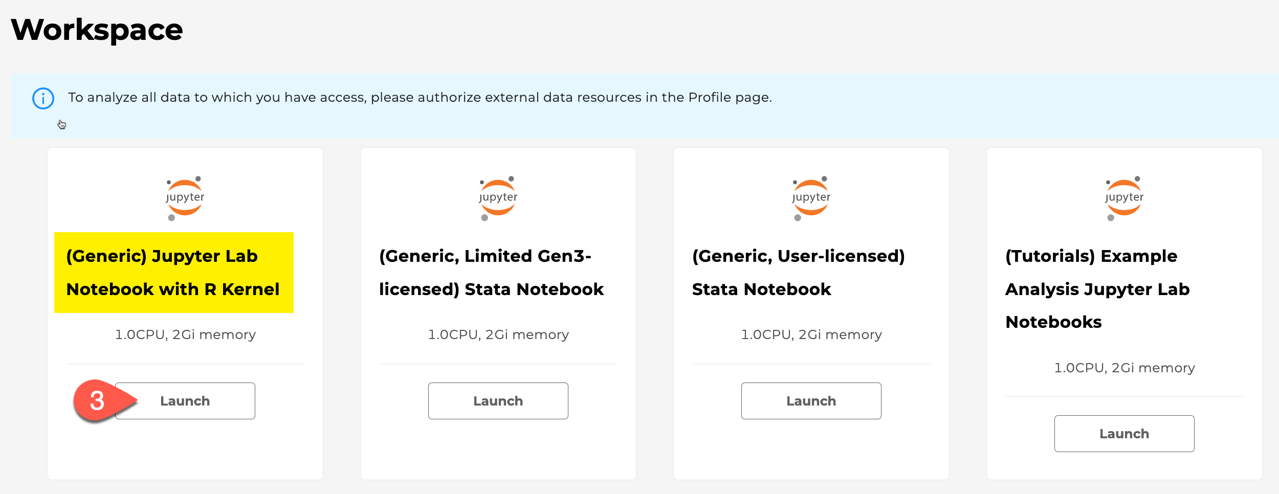 Screenshot showing which notebook to launch
