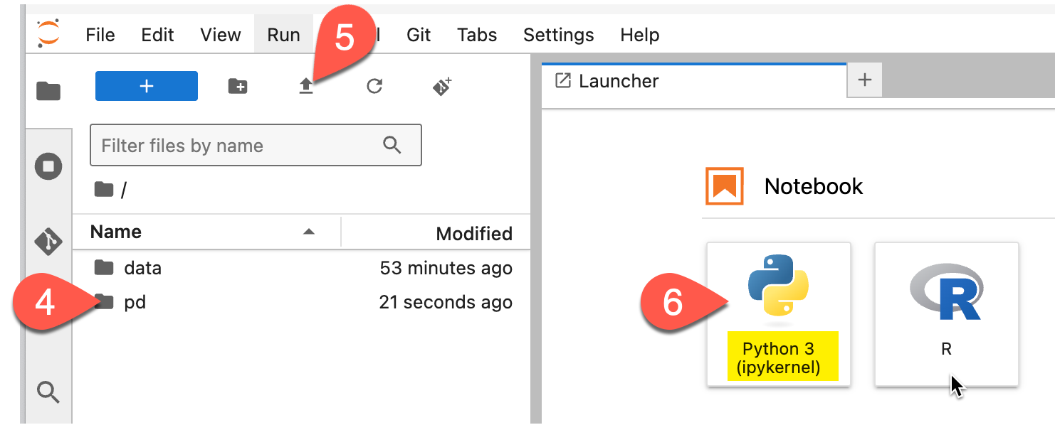 Screenshot showing where to open /pd, upload the dictionary file, and open the Python notebook